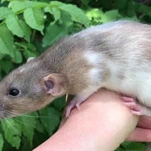 Meet your Posher, Matthew